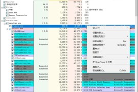 Process Explorer v17.12汉化版（系统进程管理工具）