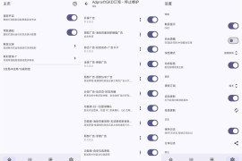 GKD(搞快点)v1.12.1（一键去除烦人的广告）