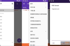 1DM+ v18.2_30249 高级版_手机端多线程下载管理器