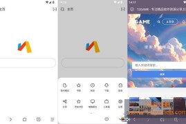 Via浏览器 v7.3.0 谷歌版_探索速度与简约的浏览器
