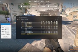 CS2 肉肉热能高亮自喵助手最新版