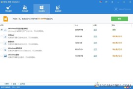 Wise Disk Cleaner v11.3.3.853绿色版（硬盘清理工具）