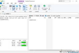 TreeSize Professional v9.8.0.2301绿色版（磁盘空间管理与分析工具）