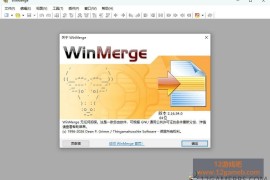 WinMerge v2.16.58.2 绿色版下载_文件比较工具