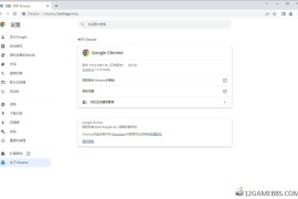 Google Chrome v149.0.7827.156便携增强版（谷歌浏览器增强版）
