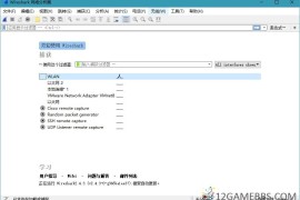 Wireshark v4.6.5绿色便携版（网络嗅探抓包工具）