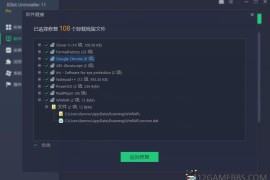 IObit Uninstaller Pro v15.4.0.1特别版（软件卸载清理工具）
