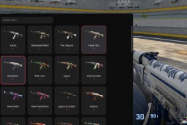 CS2 外部皮肤修改器【免更新】（成品+源码）