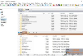 XYplorer v28.30.1900 绿色便携版下载_现代化文件管理器