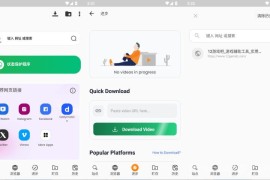 RocksPlayer v12.1.446 高级版下载_多格式高清视频播放器