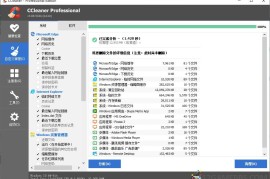 CCleaner v7.8.1355中文专业版（系统优化与隐私保护工具）