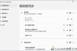SyncClipboard v3.1.2绿色版（剪贴板同步工具）