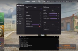 CS2 neverfair透视自瞄扳机换肤免费辅助