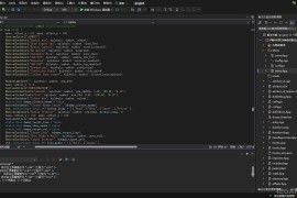 Valorant 内部源码+PAK文件 | 完整功能集（透视、瞄准、皮肤修改器）