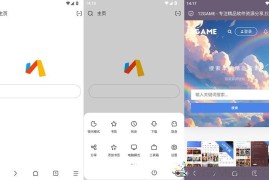 Via浏览器v7.0.0.0谷歌版（探索速度与简约的浏览器）