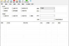 zRenamer v2.0绿色版（批量改名工具）