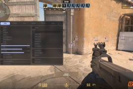 CS2 velocity透视自喵换肤多功能免费辅助【汉化版】