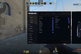 CS2 neverpaste透视自瞄扳机换肤免费辅助