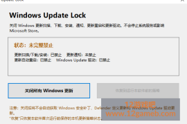 Windows系统更新禁用工具_支持Win7/10/11系统