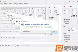 WinCAM v4.0.0中文版下载_屏幕录像工具