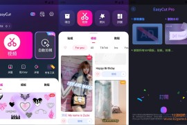 EasyCut v2.0.8.1069 视频照片编辑工具