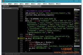 Sublime Text v4 Build 4213特别版_功能强大的代码编辑器