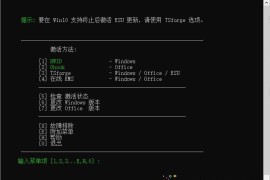 Microsoft Activation Scripts v3.11（Microsoft产品激活脚本工具）