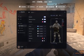 CS2 Neverwin透视自瞄扳机换肤免费辅助