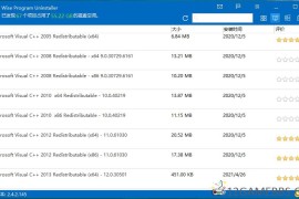 Wise Program Uninstaller v3.2.8.272（专业程序卸载工具）