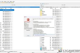 Double Commander v1.2.4绿色版（双窗格文件管理）