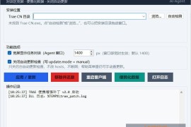 TRAE客户端增强补丁 v2.0.0 中文绿色版_TRAE国内版桌面界面优化工具