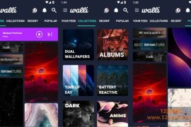 Walli 4K v2.15.3 高级版_瓦力4K高清壁纸