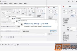 WinCAM v4.2.0.0 中文版下载_屏幕录像工具