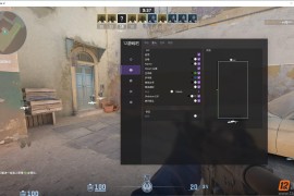 CS2 Quint透视自喵换肤穿墙免费辅助[中文版]
