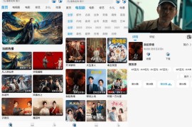 椰子4K v2.0.1去广告版（高品质观影平台）