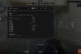 CS2 Wexen透视自喵换肤多功能免费辅助[中文版]