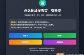 永久地址发布页HTML源码_自适应多通道引导页源码_带说明与按钮跳转