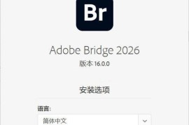 Adobe Bridge 2026 v16.0.2.23.00 高级版（图像管理软件）