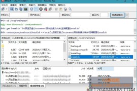 FileZilla PRO开源FTP v3.71.1 专业版_FTP/FTPS/SFTP文件传输工具