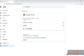 Google Chrome v151.0.7922.138 便携增强版_谷歌浏览器增强版