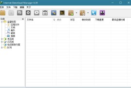 下载利器IDM v6.43.1绿色版（多线程下载工具）