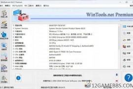 WinTools v26.2.1注册版（系统优化软件）
