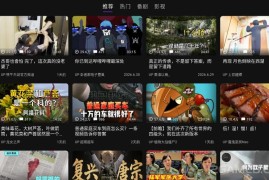 Blbl v0.1.28 B站电视版下载_开源的哔哩哔哩_B站第三方客户端