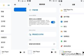 Salt Player v12.0.0原椒盐音乐（本地音乐播放器）