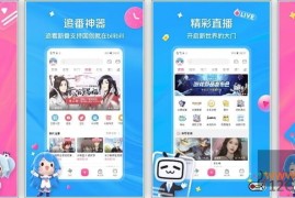 哔哩哔哩 v9.11.0 漫游版下载_已解锁全部会员限制