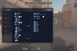 CS2 invincible透视自喵扳机换肤免费辅助