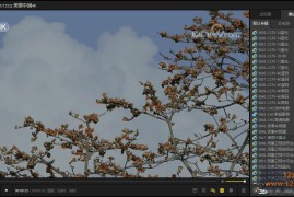 PotPlayer v1.7.23118 绿色版下载_全能影音播放器