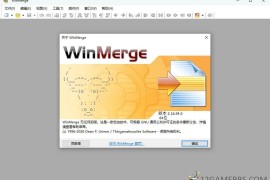 WinMerge v2.16.56绿色版（文件比较工具）