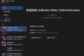 Rider v2026.1.2 高级版（编写高质量代码工具）