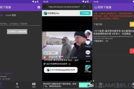 Lj视频下载器v1.1.73去广告版（专业视频下载工具）